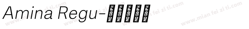 Amina Regu字体转换